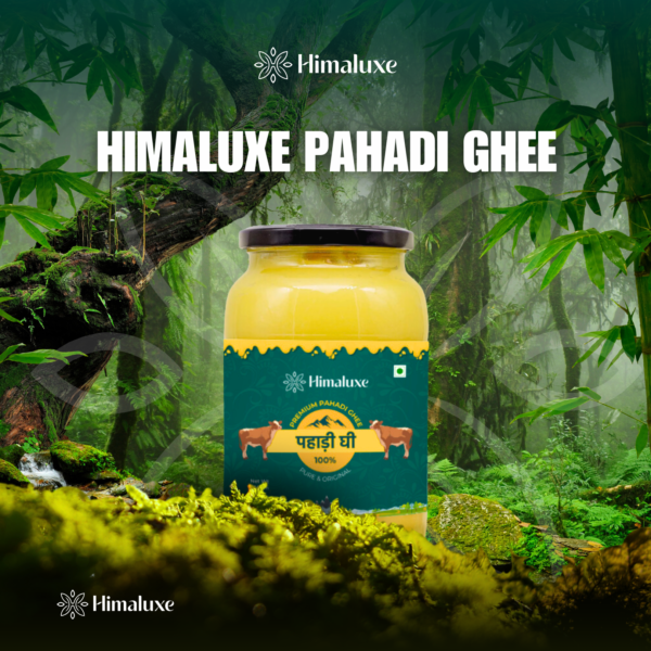 Pure Himalayan Pahadi Ghee Crafted with tradition and purity - Image 4