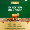Handcrafted Sea Buckthorn Herbal  Tea (Tisane)- Individual Pouch - Image 3